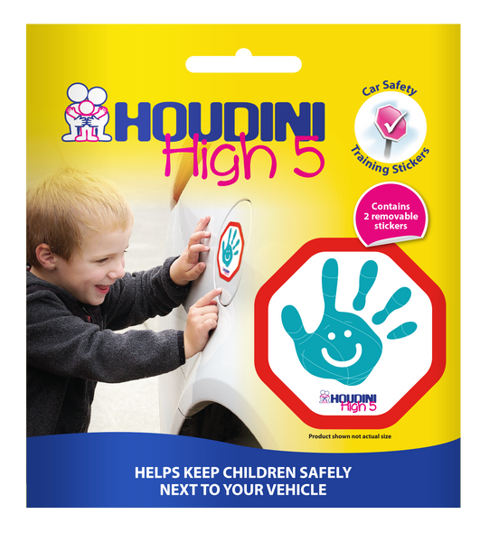 Houdini High 5 Sticker Twin Pack - Aqua