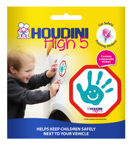 Houdini High 5 Sticker Twin Pack - Aqua